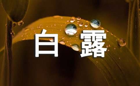 白露节气问候语（精选330句）