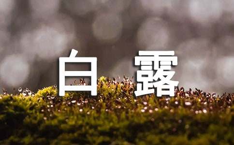 祝福白露节气快乐的句子