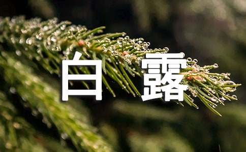 白露祝福短信