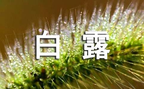 白露简短祝福语300句