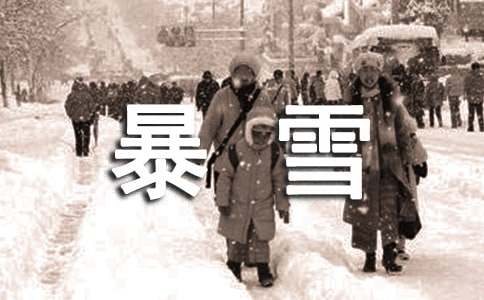 唐山一次暴雪天气过程的诊断分析