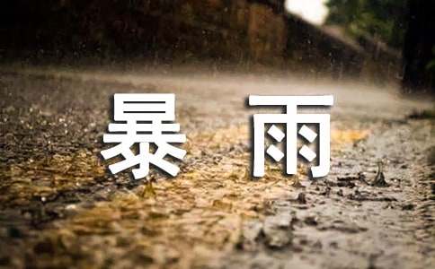 暴雨的高中作文随笔