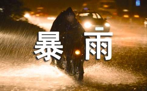 两次西南涡区域性大暴雨过程的对比分析