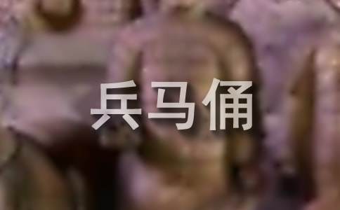 世界文化遗产兵马俑作文500字（通用25篇）