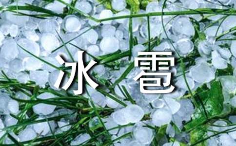 夏天的冰雹小学二年级作文300字