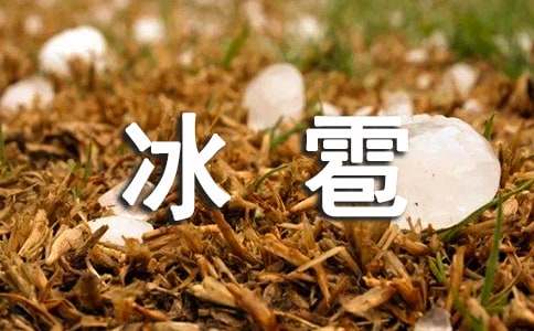 关于冰雹的作文范文