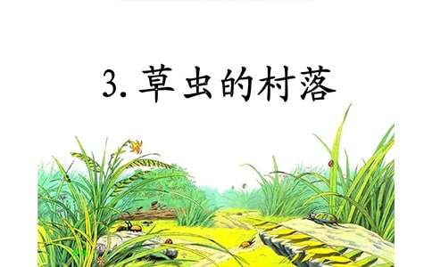 六年级语文上册教案《草虫的村落》