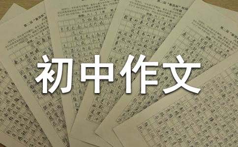 看见初中作文900字