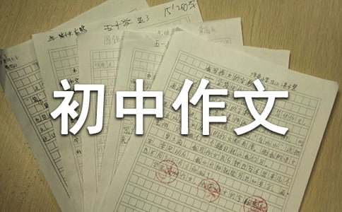 【实用】优秀初中作文300字集锦四篇