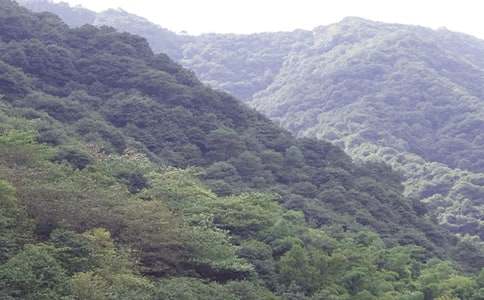 黑石-大山盆地赋煤特征初步探讨