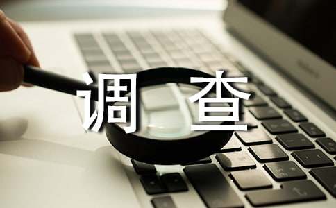 调查报告 写作格式困扰