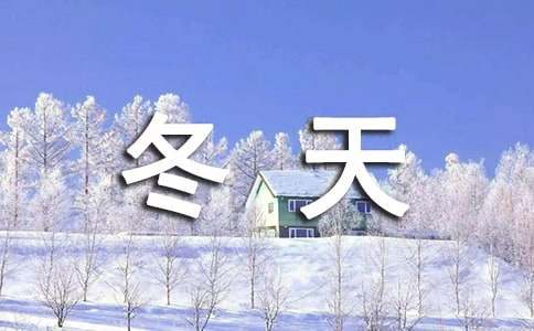 冬天的雪的小学生作文