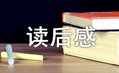 《稻草人》读后感400字