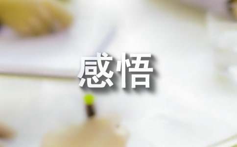 成长的感悟700字