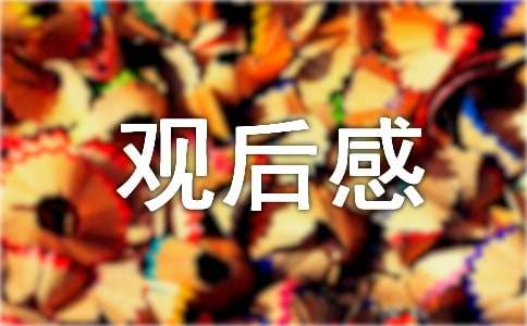 《三国演义》观后感