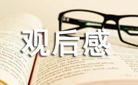 收看北京冬残奥会开幕式三年级观后感（通用8篇）