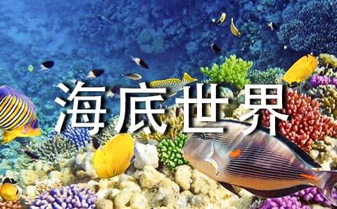 美术活动《海底世界》教案