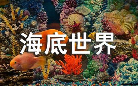 海底世界漫游记作文（通用39篇）