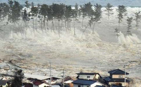 海啸灾区国土重建成难题中国土壤激活剂大显神威