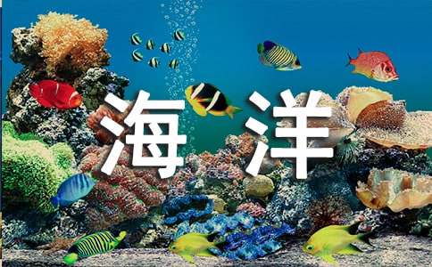 海洋作文500字三篇