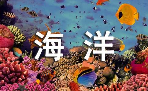 海洋世界作文