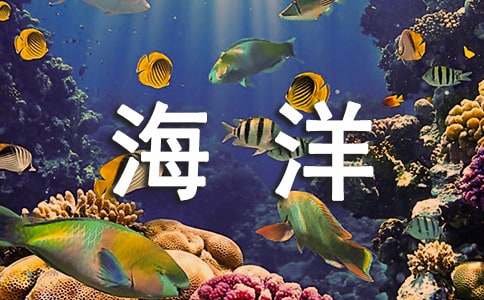 读《走向海洋》有感(精选14篇)