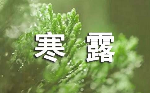 寒露节气的特点和风俗