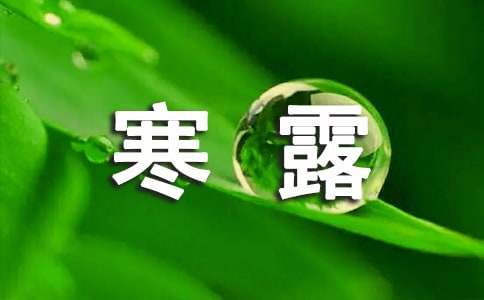 寒露节气经典句子