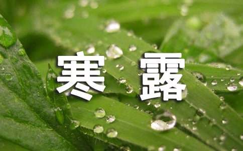 表达寒露节气的祝福短信