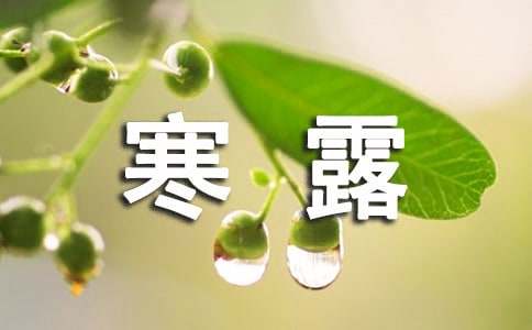 寒露节气祝福语