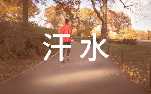 辛勤的汗水=甜蜜的笑容作文