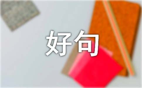 好句子摘抄30字（精选185句）