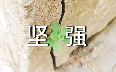 坚强的味道作文700字