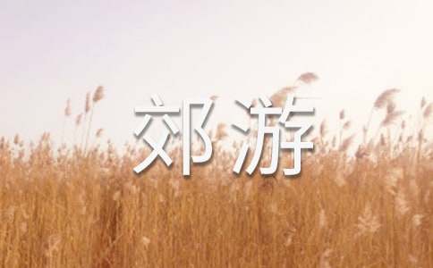 【必备】郊游作文300字10篇