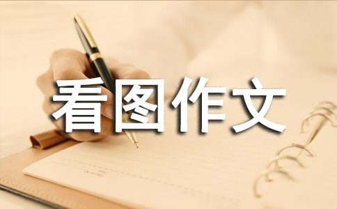 一年级看图作文100字：小白兔种白菜