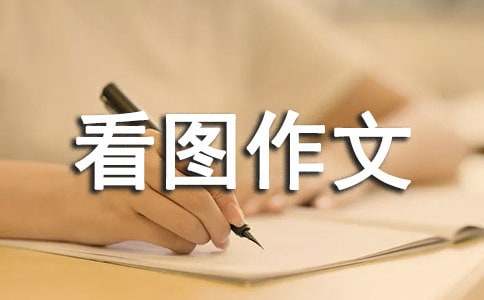 看图作文《救小树》