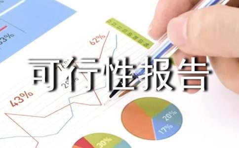 可行性报告格式