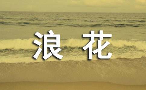 心海中的那朵浪花作文