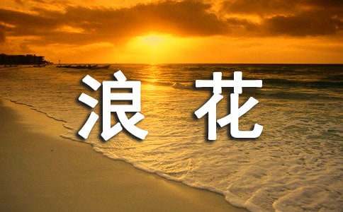 心海里的那朵浪花