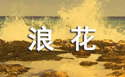 心海中的那朵浪花的作文550字