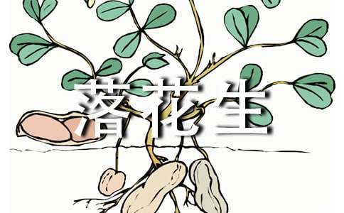 落花生作文500字（通用48篇）