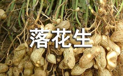 落花生课文读后感7篇