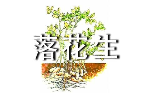 《落花生》教案(合集15篇)