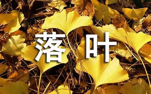 落叶归根作文600字