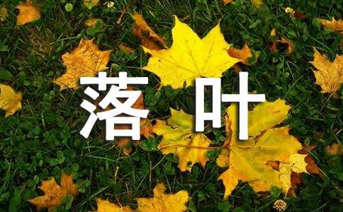 关于落叶作文100字