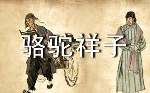 《骆驼祥子》读后感3000字（通用18篇）