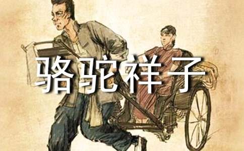 《骆驼祥子》读后感