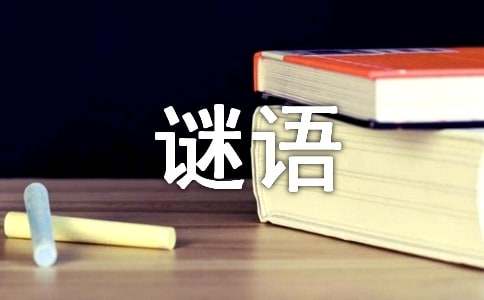 谜面：马识途              谜语答案提示：四字口语