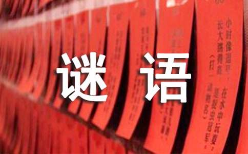 谜面：不搞歪门邪道              谜语答案提示：称谓职务