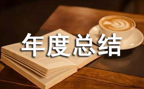 年度总结报告范文